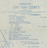 1920 Map of Live Oak County Texas