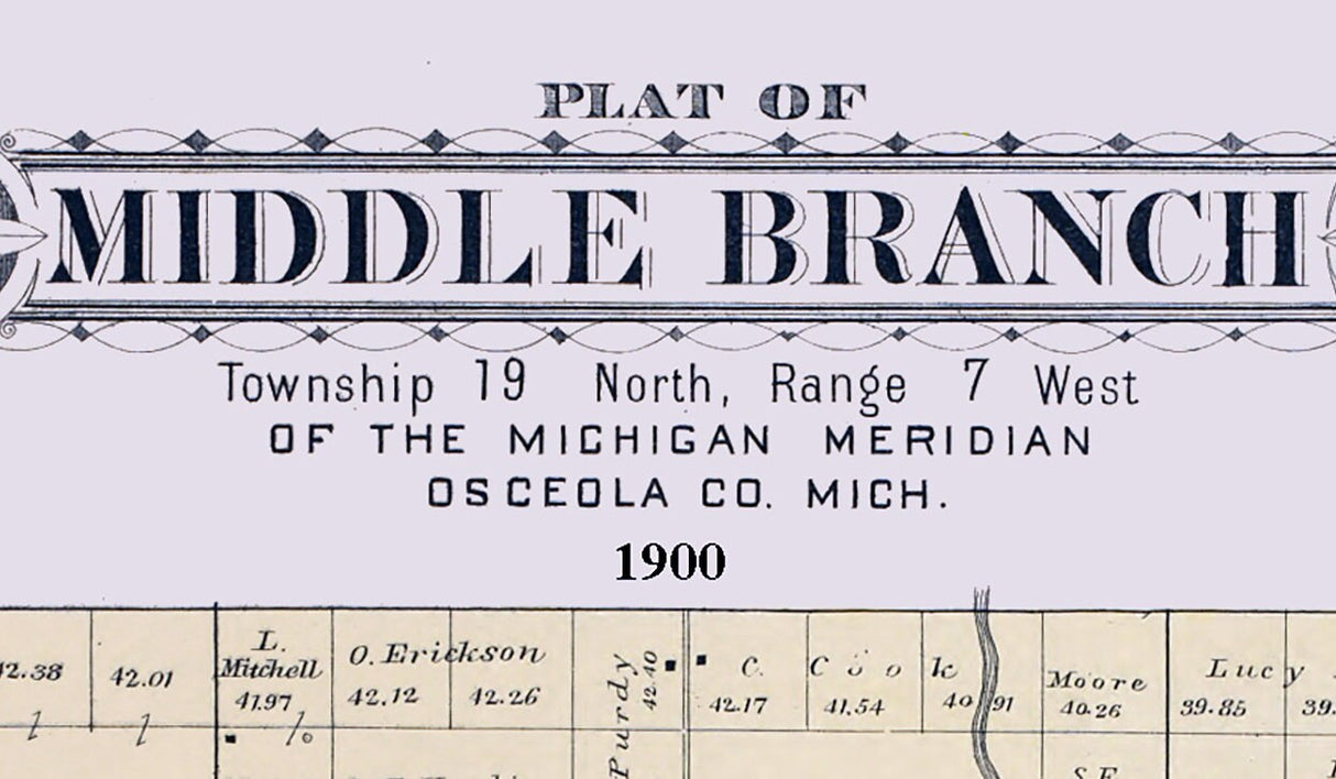1900 Map of Middle Branch Township Osceola County Michigan