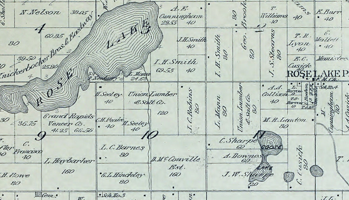 1900 Map of Rose Lake Township Osceola County Michigan