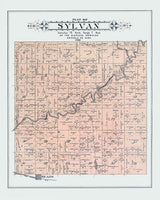 1900 Map of Sylvan Township Osceola County Michigan