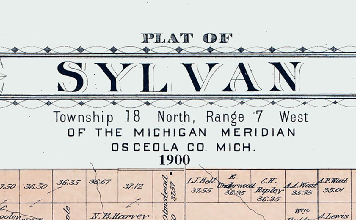 1900 Map of Sylvan Township Osceola County Michigan