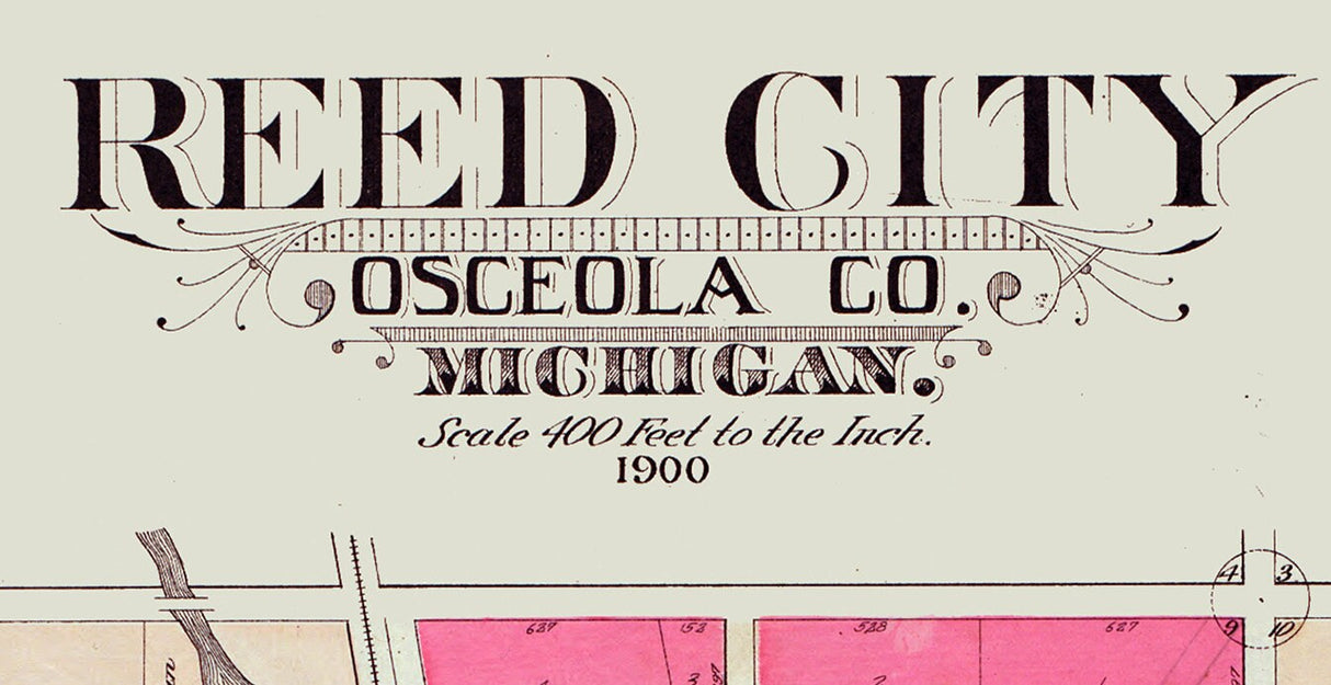 1900 Town Map of Reed City Osceola County Michigan