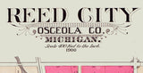 1900 Town Map of Reed City Osceola County Michigan