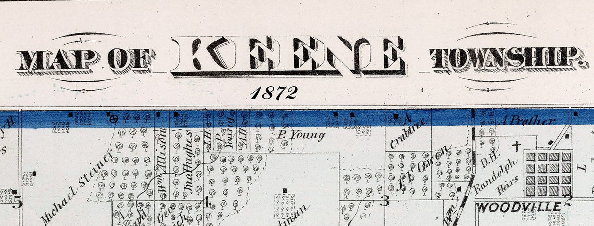 1872 Map of Keene Township Adams County Illinois