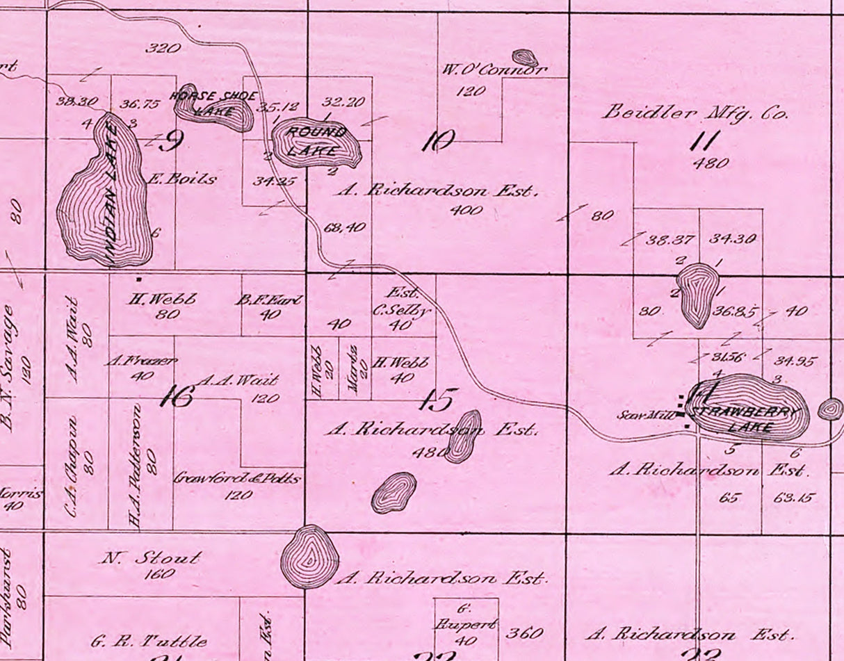 1900 Map of Cedar Township Osceola County Michigan