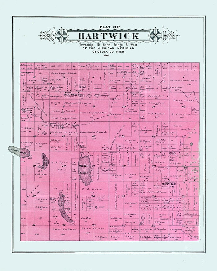 1900 Map of Hartwick Township Osceola County Michigan