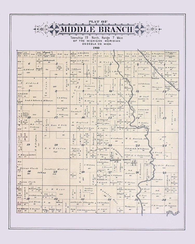 1900 Map of Middle Branch Township Osceola County Michigan
