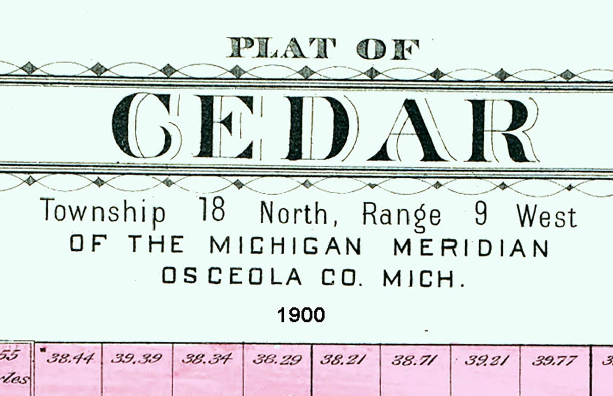 1900 Map of Cedar Township Osceola County Michigan