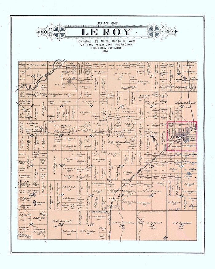 1900 Map of Le Roy Township Osceola County Michigan