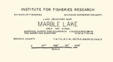 1948 Map of Marble Lake Branch County Michigan