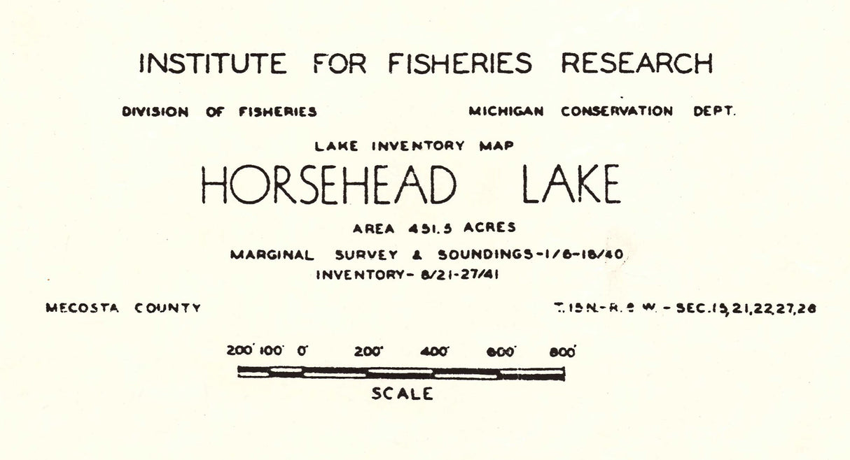 1941 Map of Horsehead Lake Mecosta County Michigan