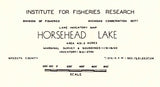 1941 Map of Horsehead Lake Mecosta County Michigan