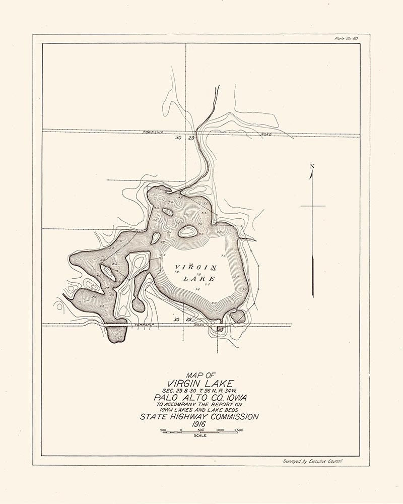 1916 Map of Virgin Lake Palo Alto County Iowa