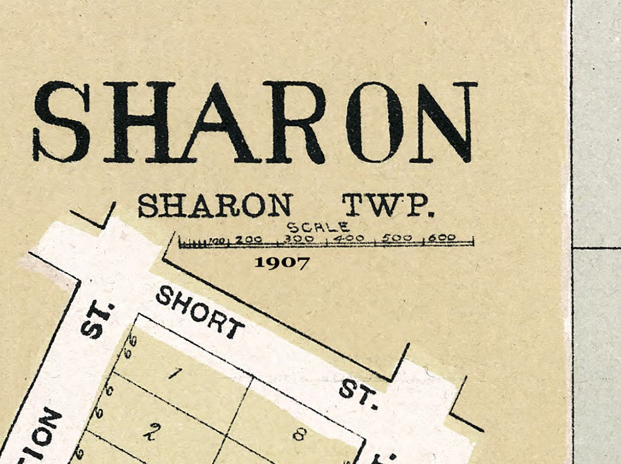 1907 Town Map of Sharon Walworth County Wisconsin