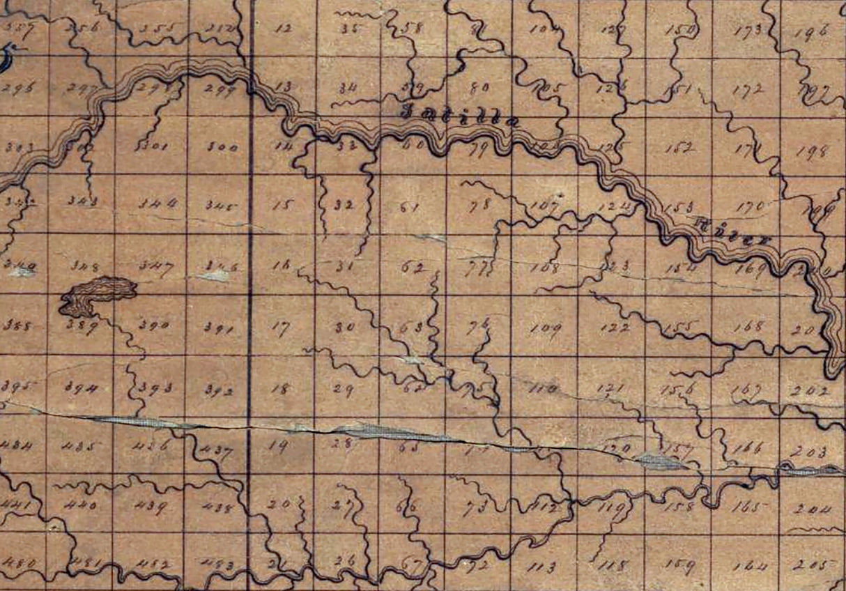 1867 Map of Coffee County Georgia