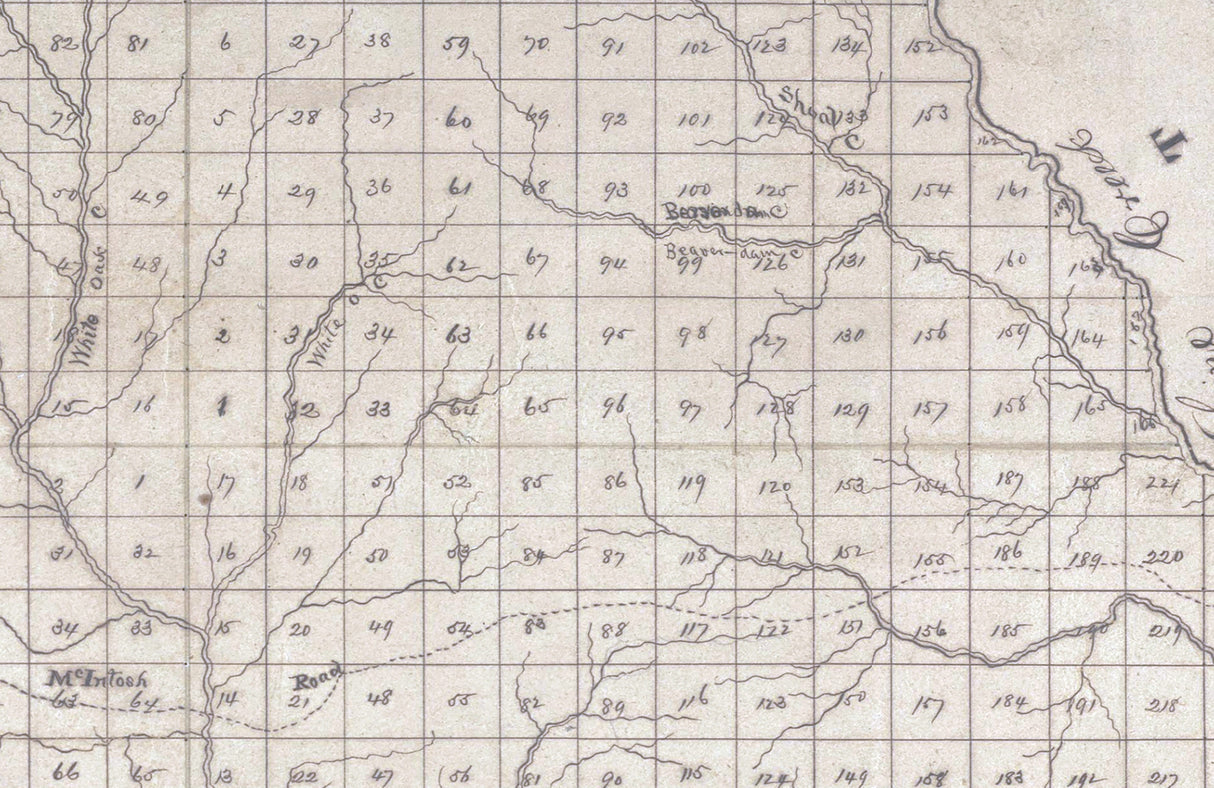 1867 Map of Coweta County Georgia