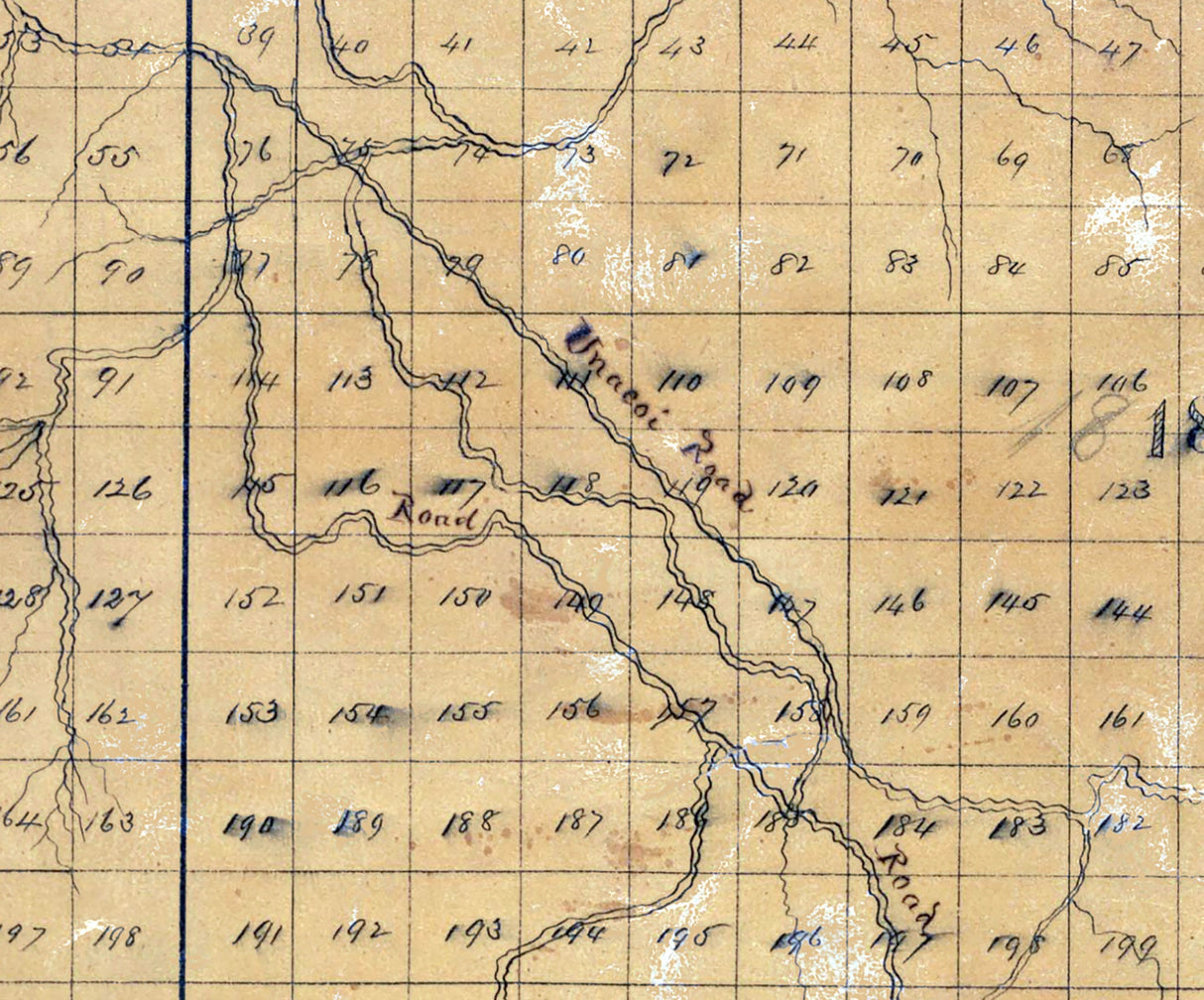 1867 Map of Towns County Georgia