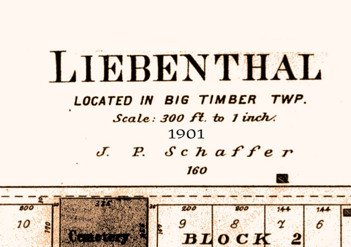 1901 Town Map of Lienenthal Rush County Kansas