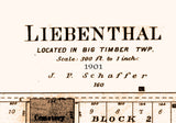 1901 Town Map of Lienenthal Rush County Kansas