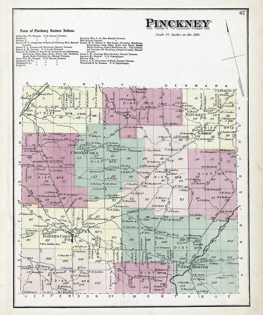 1875 Map of Pinckney Township Lewis County New York
