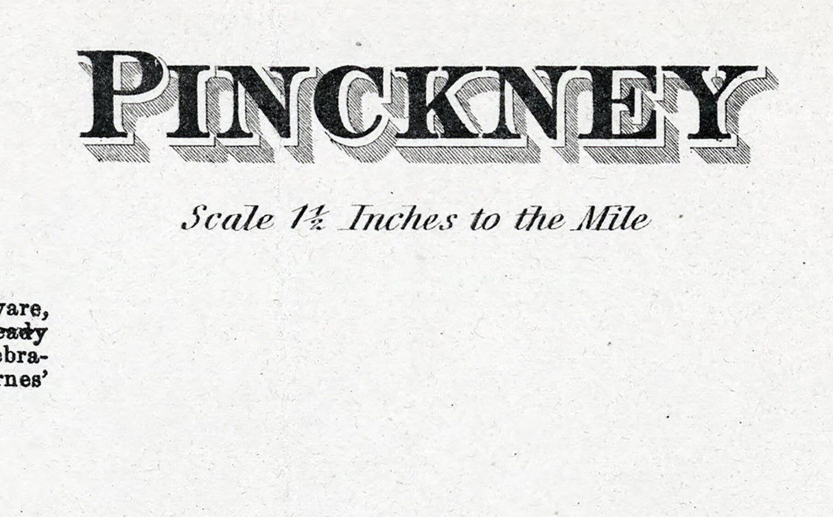 1875 Map of Pinckney Township Lewis County New York