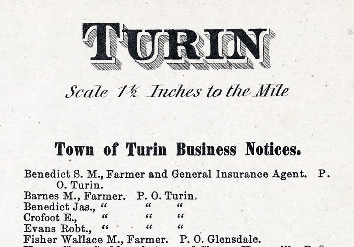 1875 Map of Turin Township Lewis County New York