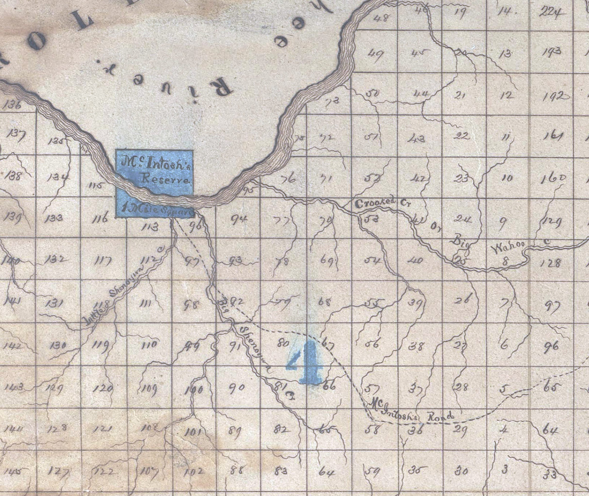 1867 Map of Coweta County Georgia