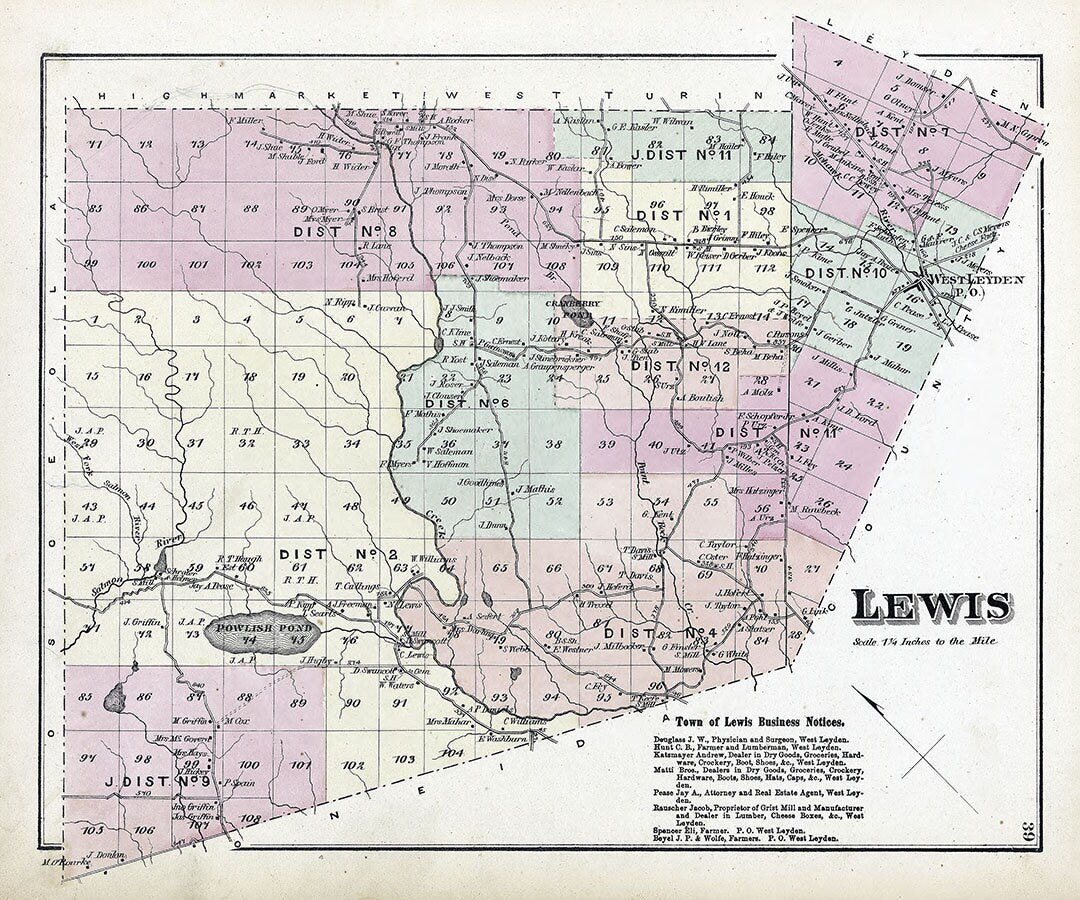 1875 Map of Lewis Township Lewis County New York