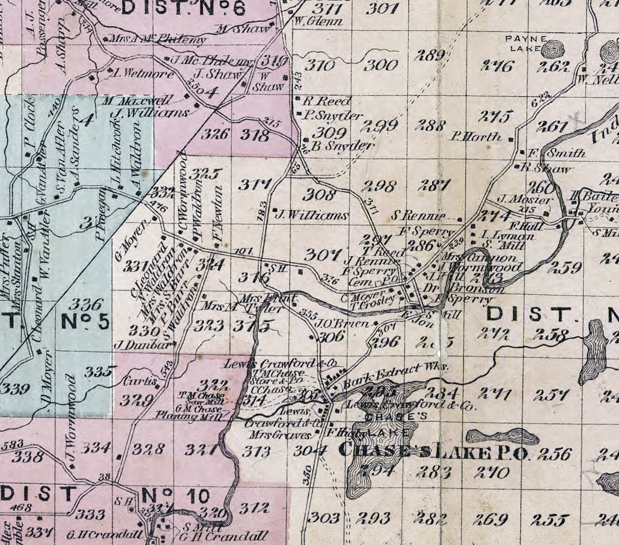 1875 Map of Watson Township Lewis County New York