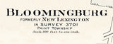 1913 Town Map of Bloomingburg Fayette County Ohio