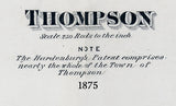 1875 Map of Thompson Township Sullivan County New York