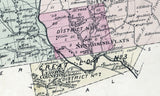 1875 Map of Neversink Township Sullivan County New York