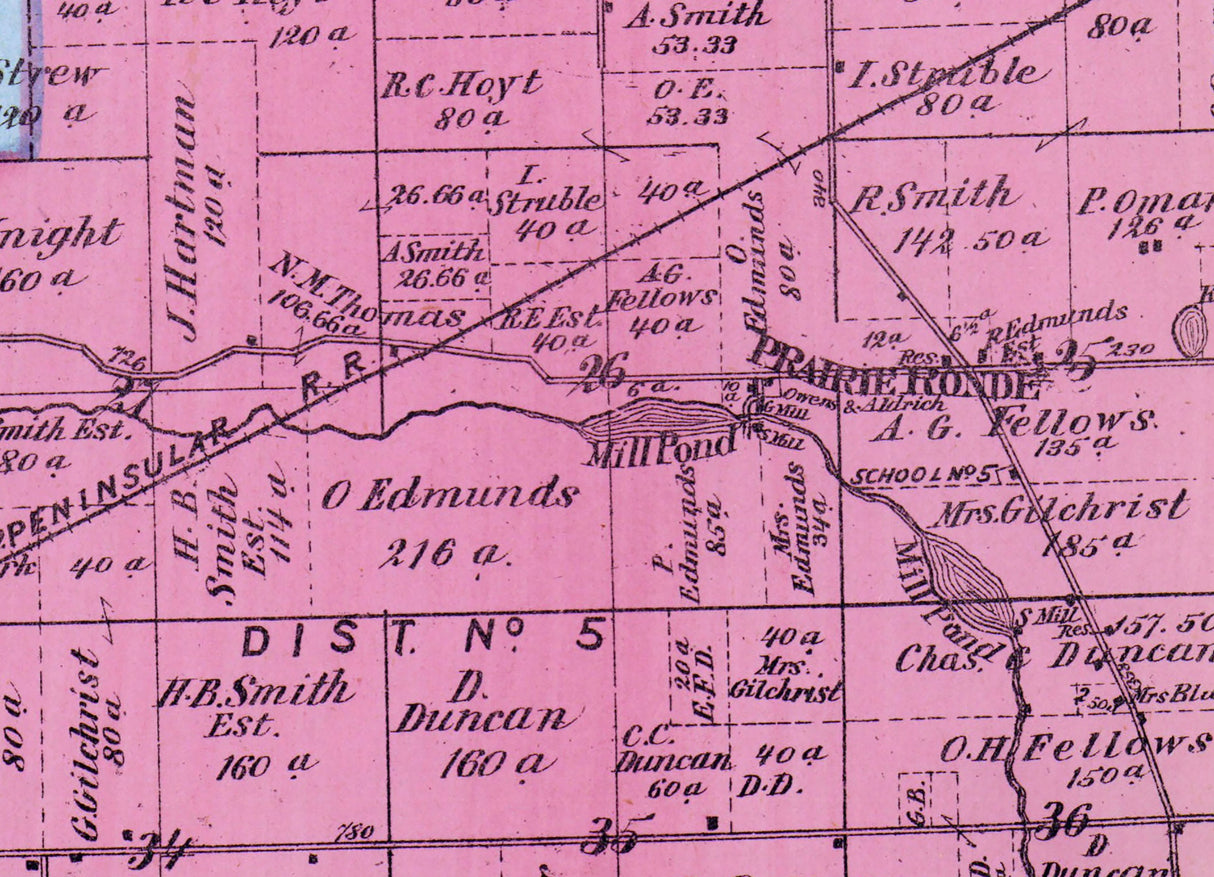 1873 Map of Prairie Ronde Township Kalamazoo County Michigan