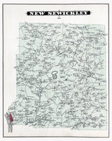 1876 Map of New Sewickley Township Beaver County Pennsylvania