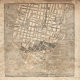 1865 Map of Charleston South Carolina