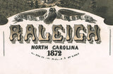 1872 Panoramic Map of Raleigh North Carolina