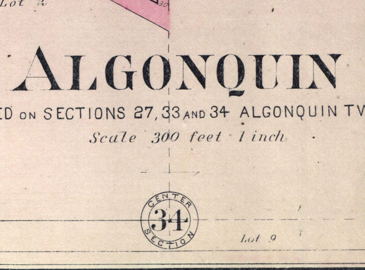 1892 Town Map of Algonquin McHenry County Illinois