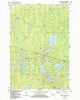 1982 Topo Map of Chaney Lake Michigan Quadrangle