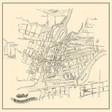 1855 Town Map of Binghamton Broome County New York