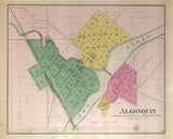 1892 Town Map of Algonquin McHenry County Illinois