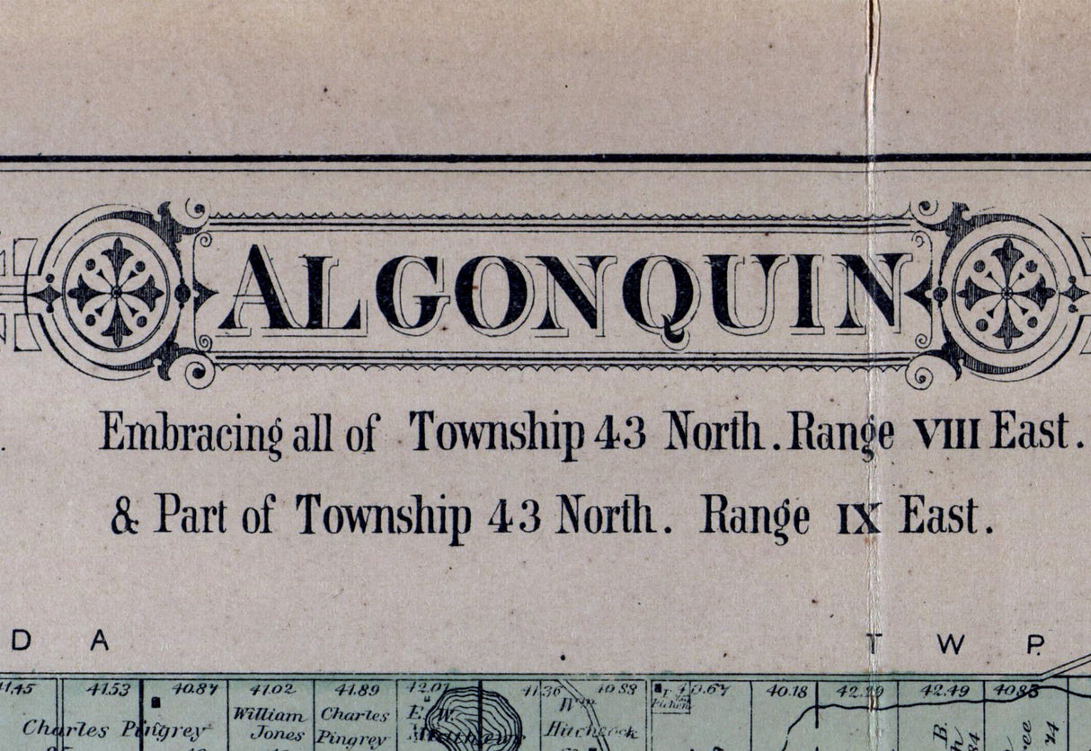 1892 Map of Algonquin Township McHenry County Illinois