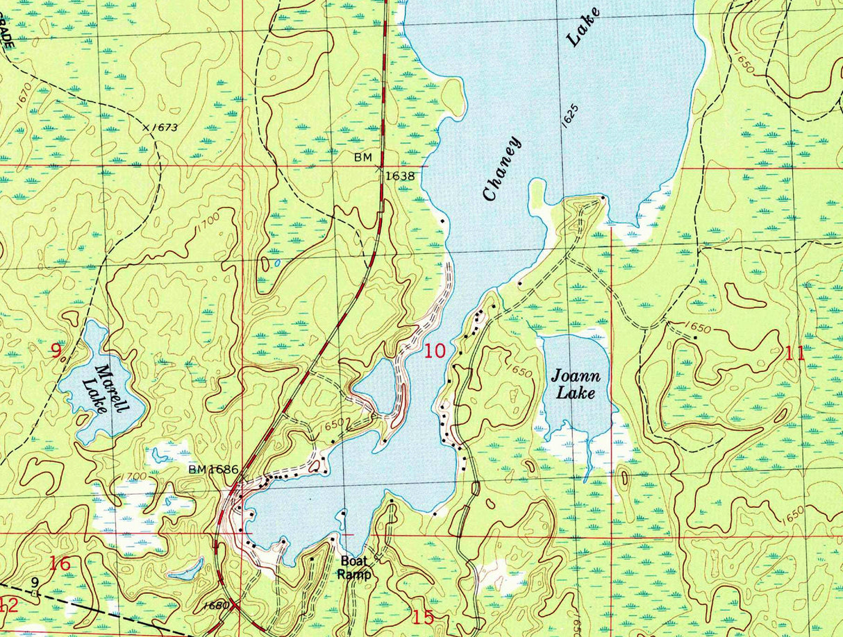 1982 Topo Map of Chaney Lake Michigan Quadrangle