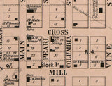 1860 Map of Chambersburgh Pike County Illinois