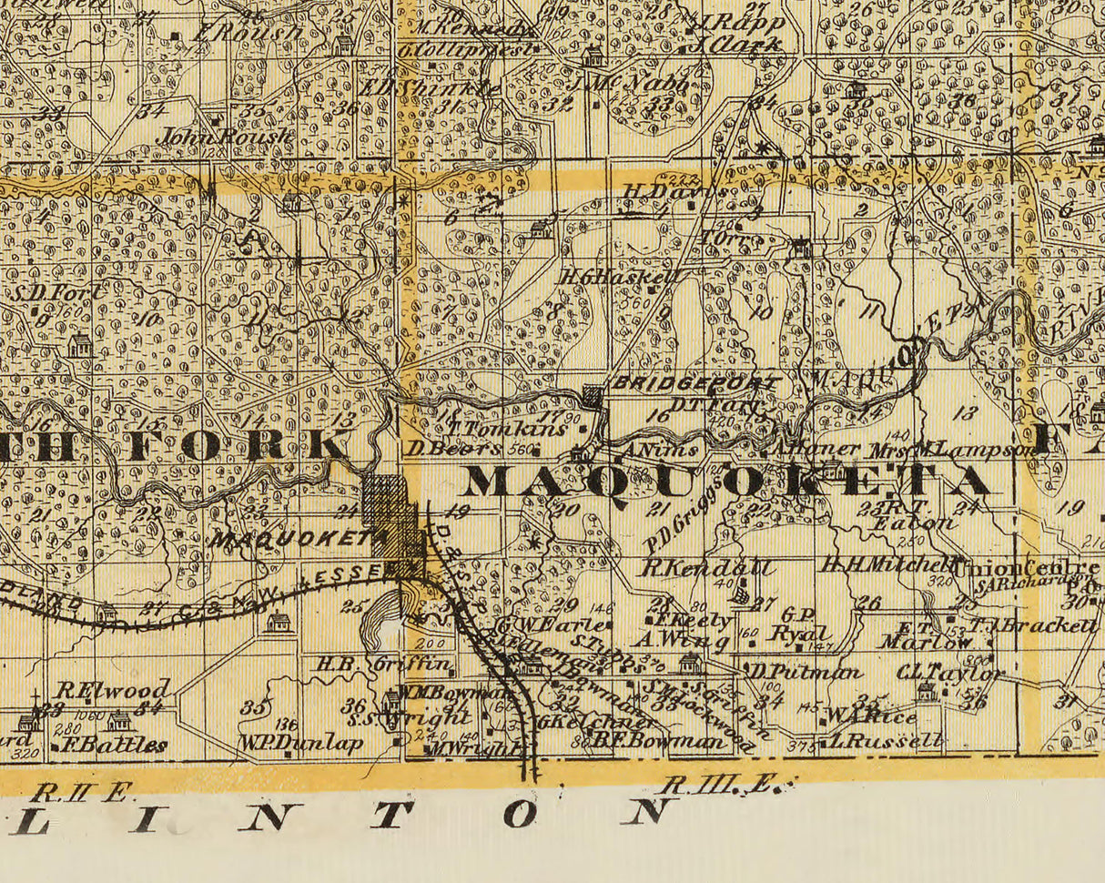 1875 Map of Jackson County Iowa