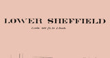 1878 Town Map of Lower Sheffield Warren County Pennsylvania