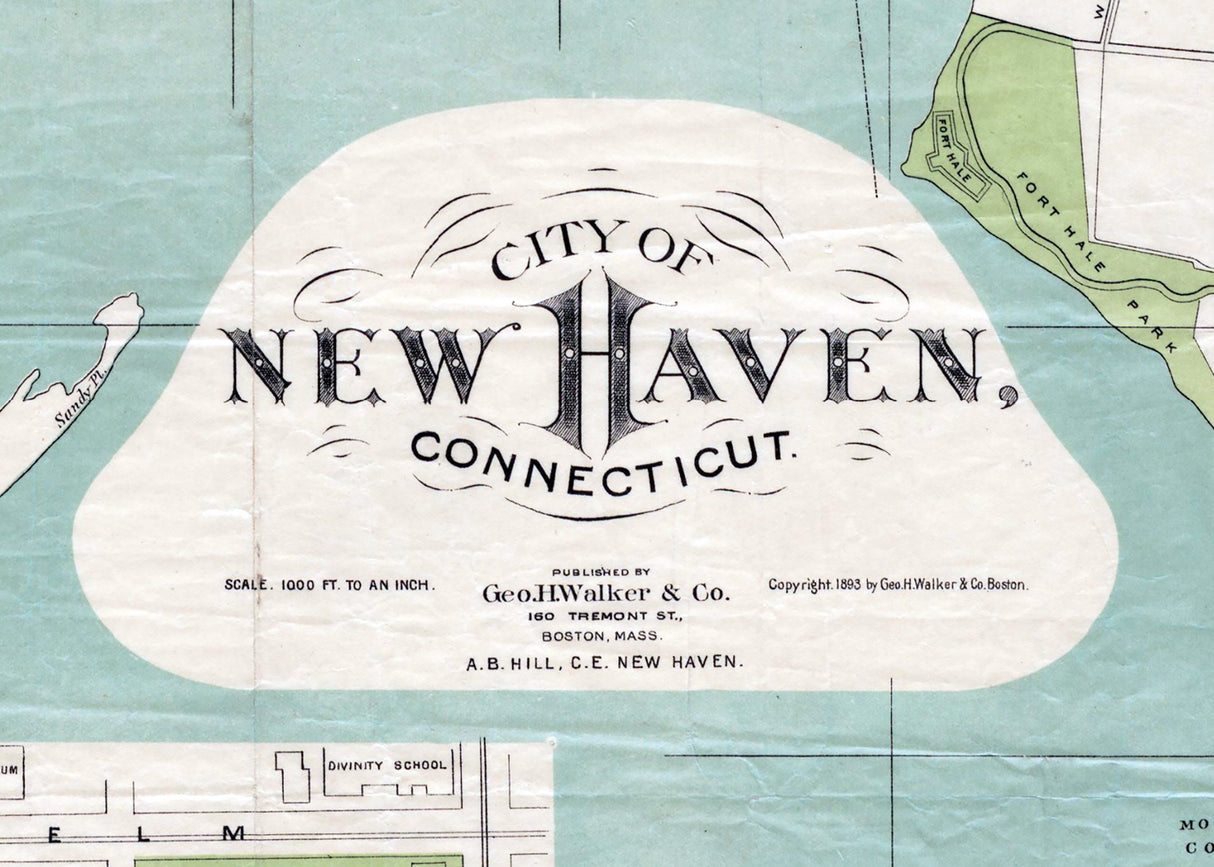 1893 Map of New Haven Connecticut