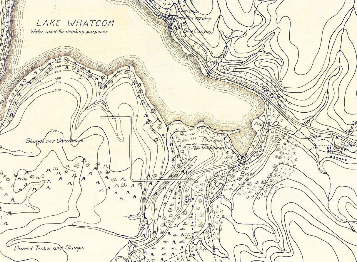 1909 Map of Lake Whatcom Washington