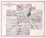 1877 Map of Saginaw County Michigan
