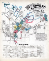 1895 Map of Cheboygan Michigan