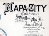 1891 Town Map of Napa California